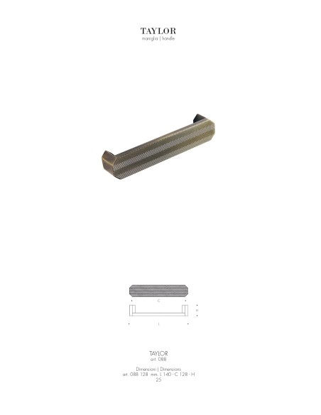 TAYLOR 088