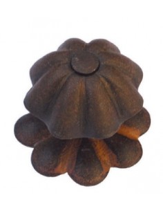 GALBUSERA