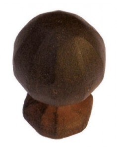 GALBUSERA